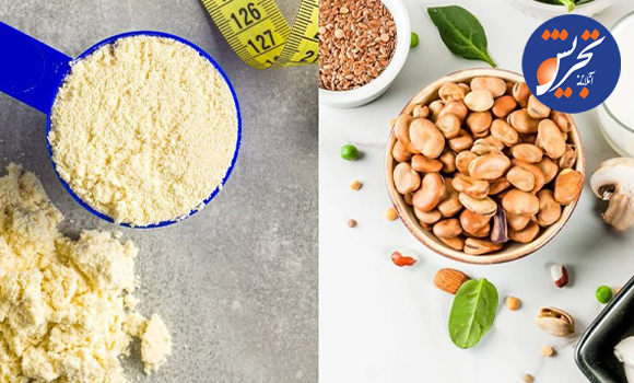 تفاوت‌های پروتئین وی و پروتئین گیاهی: کدام یک بهتر است؟