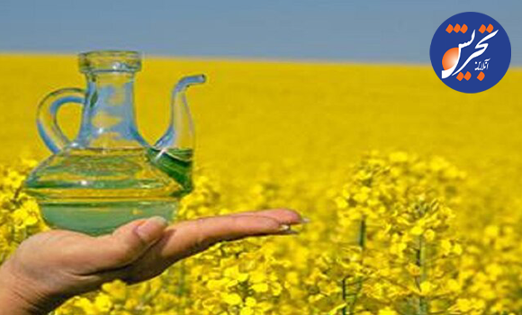 هزینه ۲ میلیارد دلاری برای واردات دانههای روغنی/ برای خودکفایی باید میزان تولید به ۶ میلیون تن برسد